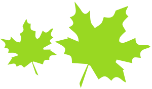 two neon green maple leaves